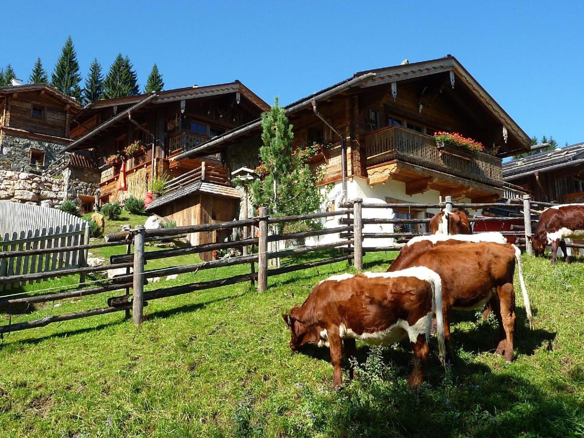 Willa Ferienhaus Im Almdorf In Flachau Zewnętrze zdjęcie